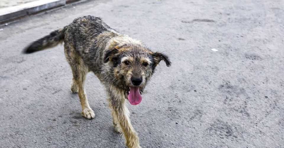 ��������� ������ ������ �� ��������� � ������