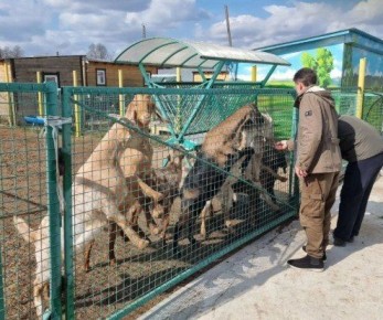 Мордовские аграрии перенимают калужские технологии