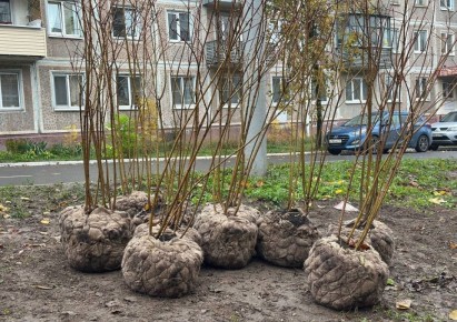 � ������ ������� ����� ��� ������� ����� ��������