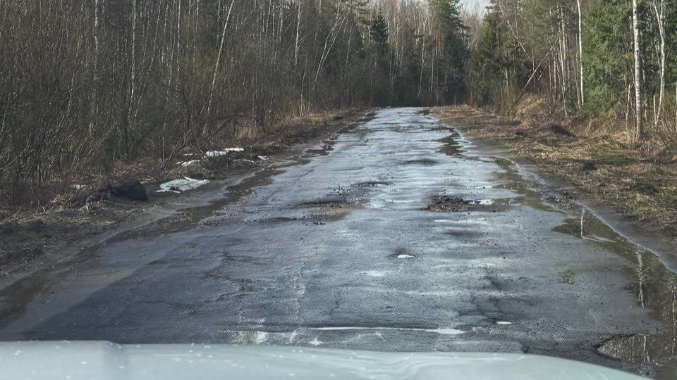 � ������� ������� ���� ���� �������� ���� ������ �� ������