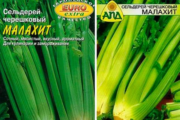 ��������� �������: ������� ����������� � ��������������� ������������