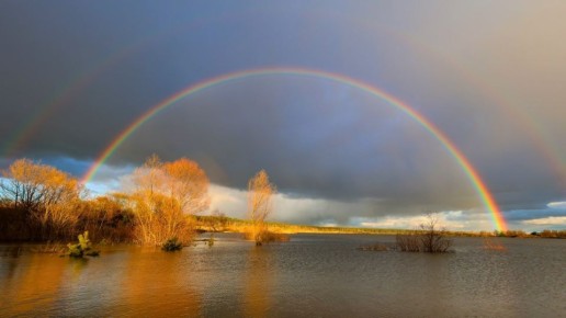 ���� ������������ � �����. ������� ���� � ��� � �� �������� ���������� ����������