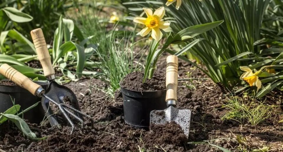 ��������, ������� ������ �������: ��������� ������� � ���������