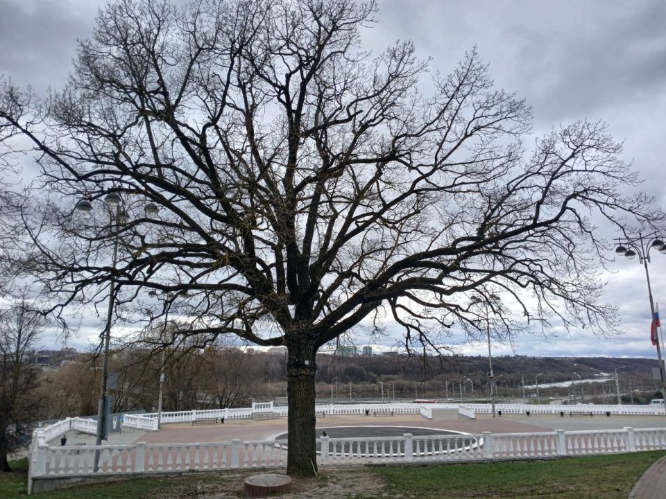 � ��������� ������� ��������� ���������� ������ � �����