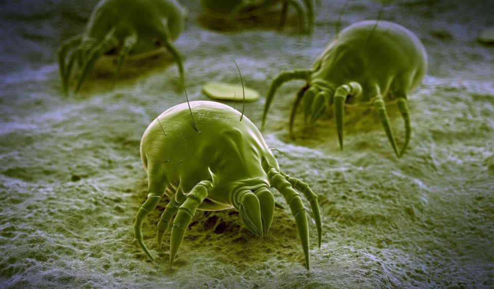 ������� �����: ��� ��� ��������� ������� � ����� ���� � ��� � ���� ������