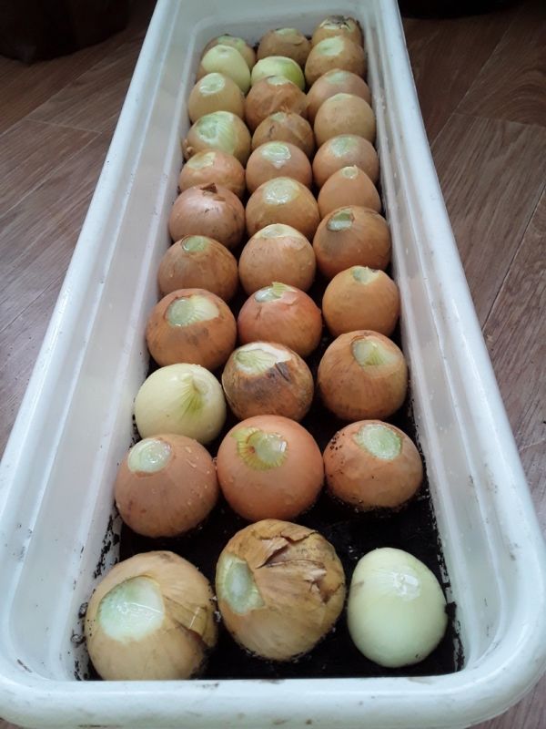 �������� � �����������: ��� ���������� ��� �� ������� ����� ����� �������