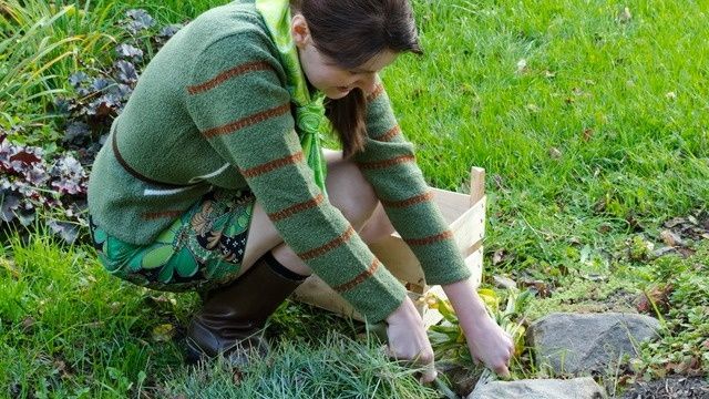 ��� ���������� �������� ����� �� ����� �������: ������������ ������