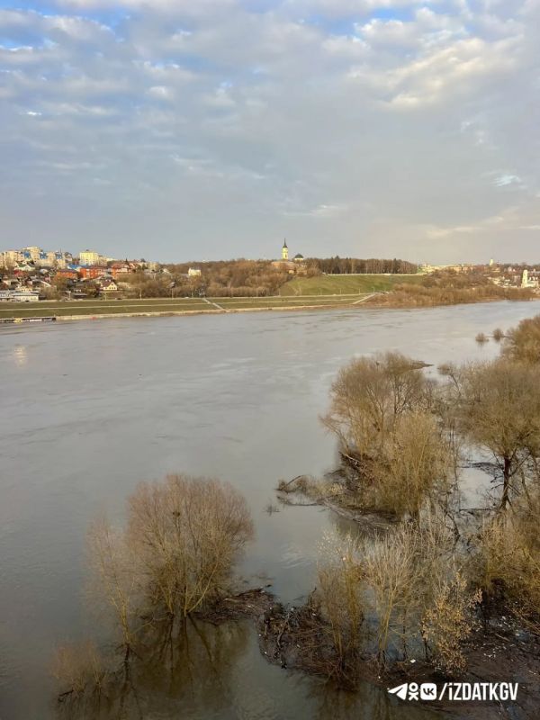 �������� � �������� � ��������� ������� �� ��������� �� 9 ������: