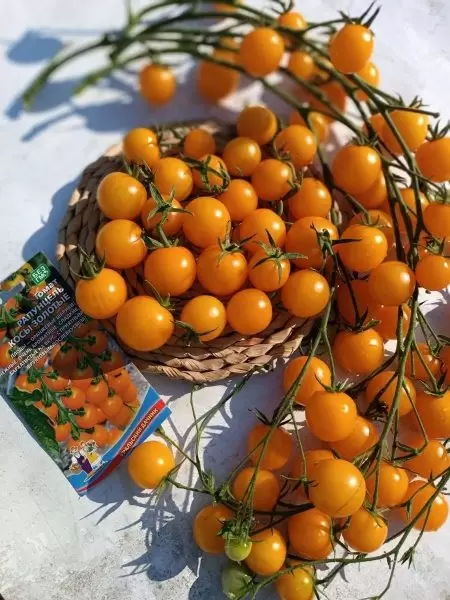 Томат Рапунцель Косы Золотые как вырастить куст с каскадом плодоношения