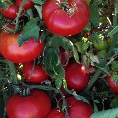 ����� �����: ��������� ����� ��� ����������� ���� ������