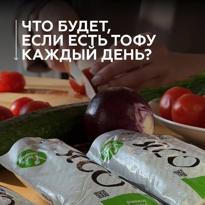 ���� ������ ����: ������ � ������ �������