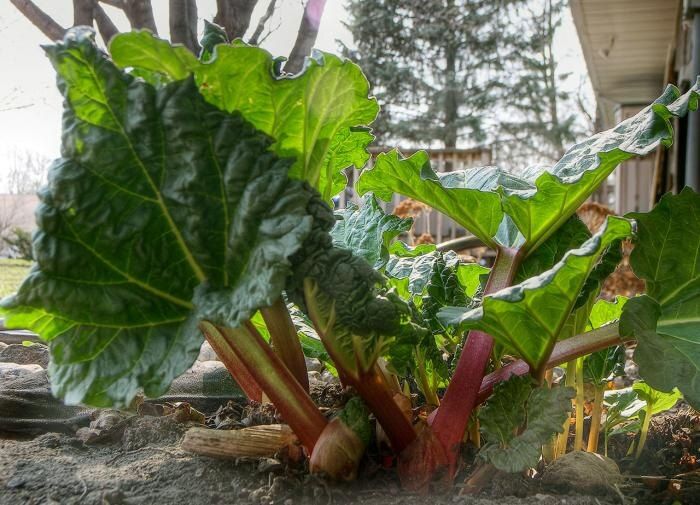 �������� �������� � ���������������: ������ � ����� �������