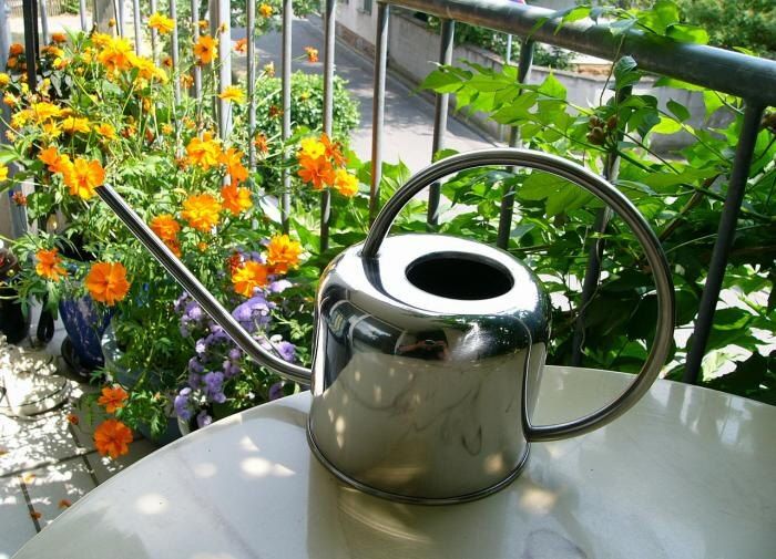 ������� ������� ��������: ����� ����� ������� � ����, ����� ������� ����