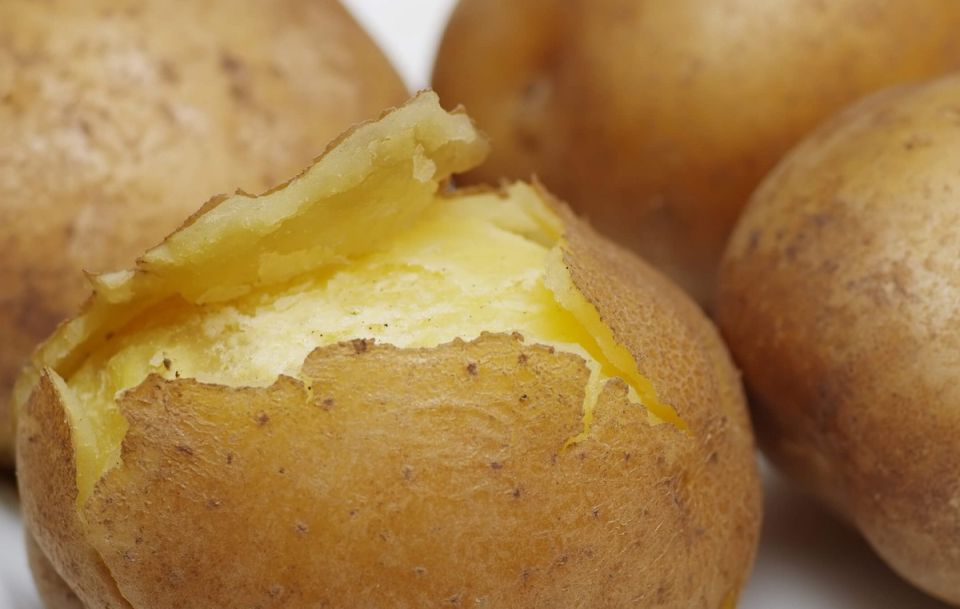 ������� ���������� ������������ ���������