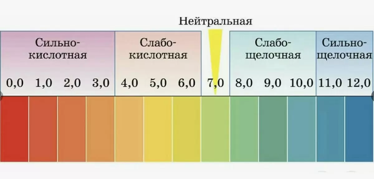 Как определить кислотность почвы и выбрать оптимальное средство для раскисления
