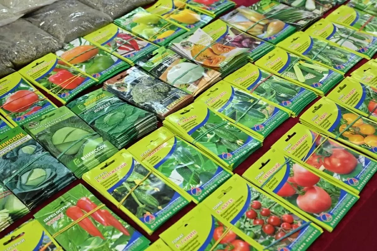 Как создать мини-огород в квартире: советы по уходу за растениями