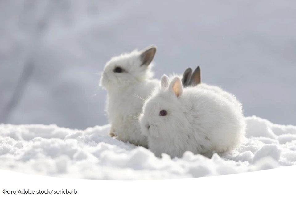 ��� ������������ � �������� � ������ ������: ������ �� ��������� � ���������