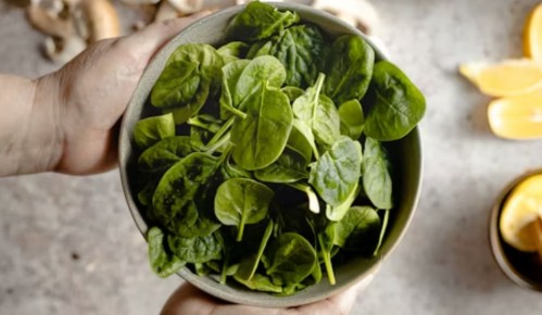 Шпинат: полезный зеленый друг для всей семьи