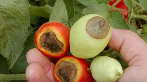 ��� ������ ������ ������� �� ��������� ����� � ������ ������ ���