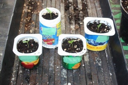 ��� ���������� ���������� ��-��� ������� ������ ������ � ���������� ����