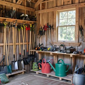 ����������� ������� �����������: ��� ��������� ������ � ������� � ���������� ������