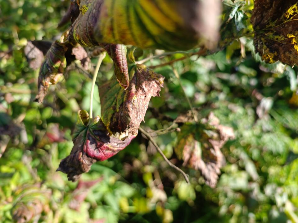 ��� �������� ��������� �� ����������: ������� ������ ��� ���������