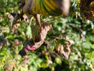 ��� �������� ��������� �� ����������: ������� ������ ��� ���������