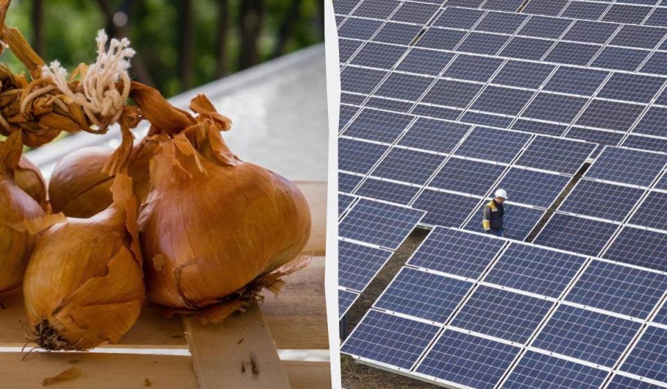 ������� ������ ����� �������� ������������� ��������� �������: �������� ������