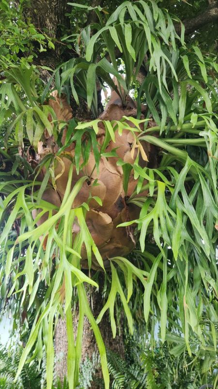 �������: ���������� ��������, ������� ����� ��� �����