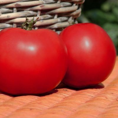 ����� ����: ������� �������� ��������, ������� ��������� ������ �����������