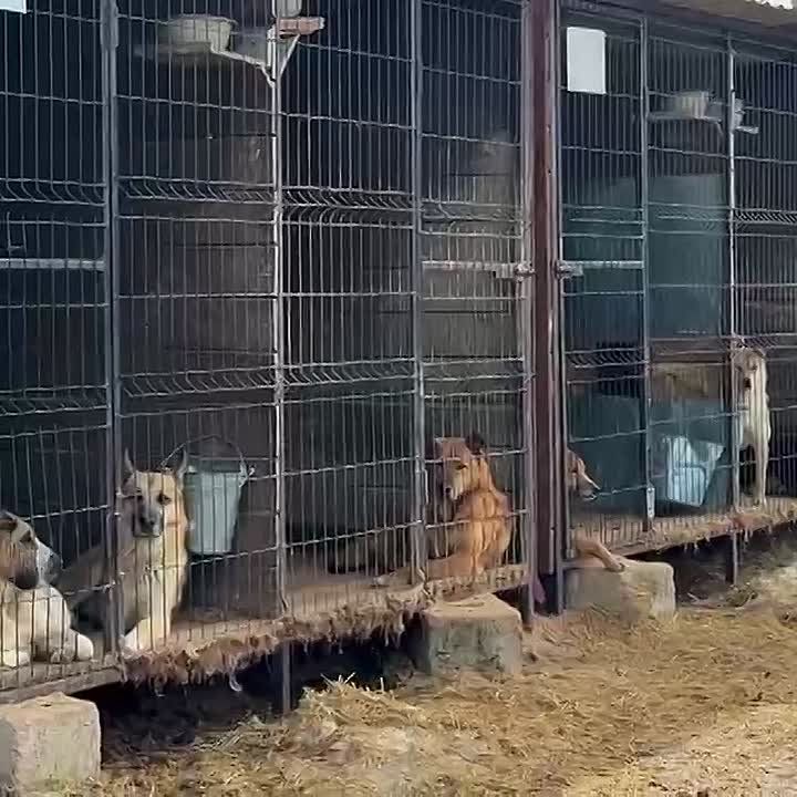 ��������� ����������: ���������� ���� �� �����! 600 ������