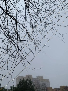 ������� � ������ ������������ ��������� � ��������� ������. ����������� ������� ���� ����� +5�C, � ����� +2�C