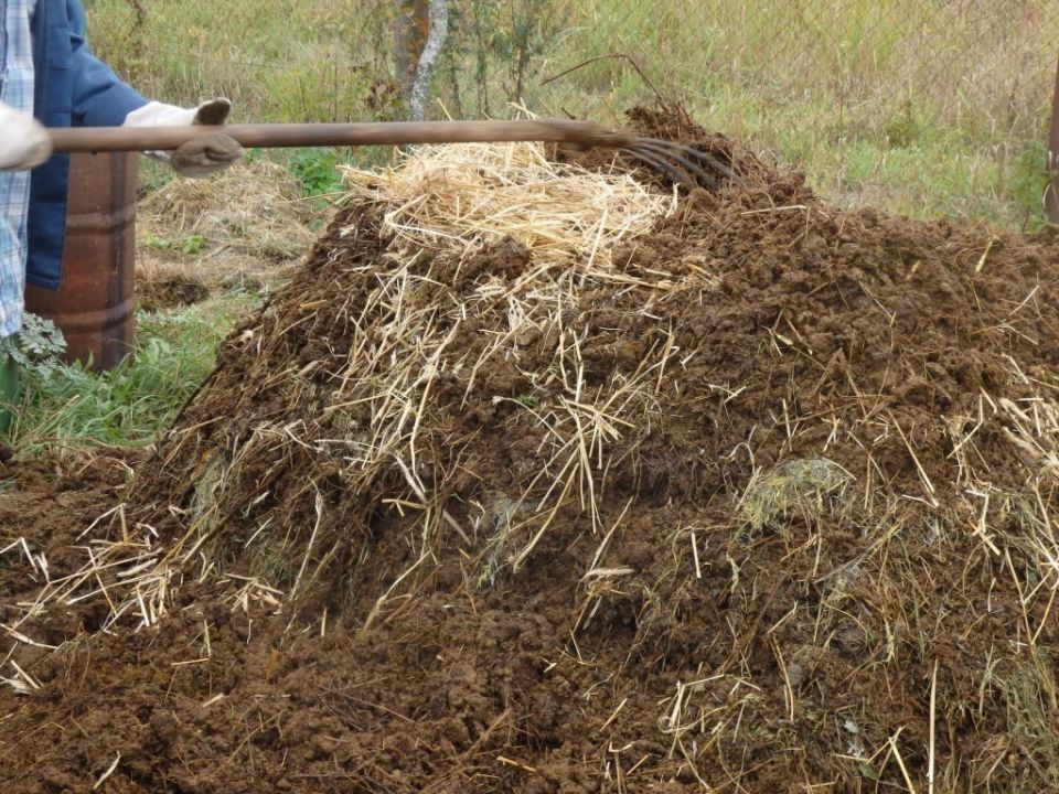 ������ ��������� �������� �� ��������� ����� ��� ���������