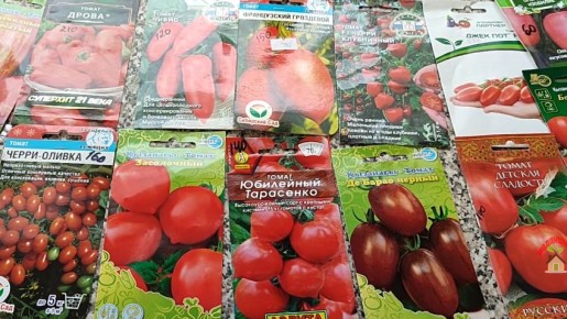 ������, ���������� ������: ������ ��������� ������ � ������ �� ������� ������