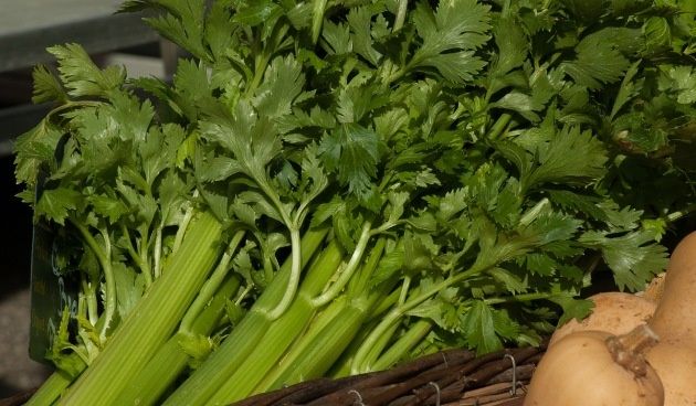 ��� ��������� ��������� �����: ����������� ������