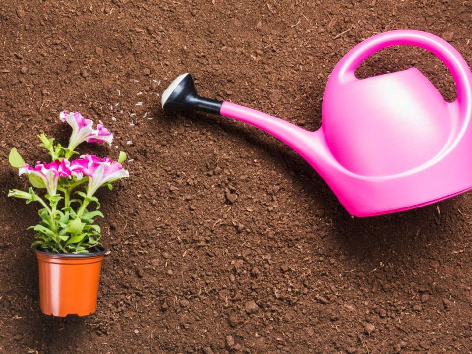 ��������� ��������� ��� ��������� ��������: ��� ���� ����� ����� ����� ������ ������