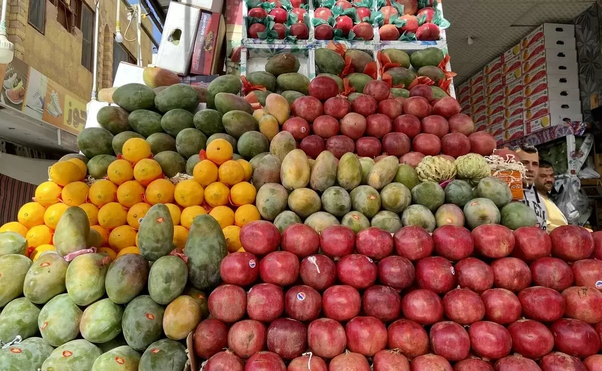 Фруктовый календарь Египта: узнайте, когда пробовать свежие плоды