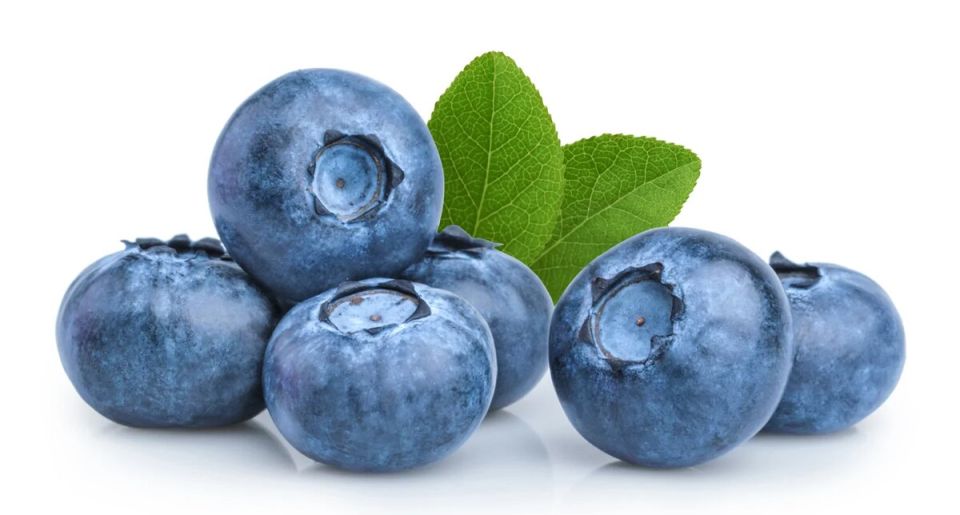 ������� ������ ����: ������� � ��������