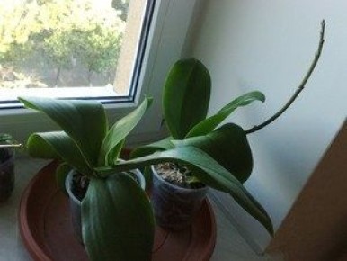 �������, �� ������� ������� �� ������ � �������� ��������, � ��� ��� ���������