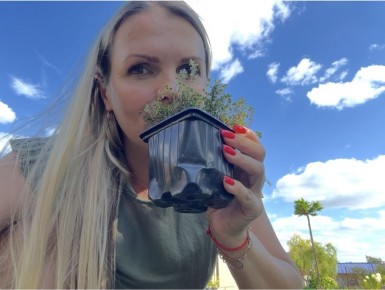 ����� ������ � ����: ���������� �������, ���������� ������ ���������