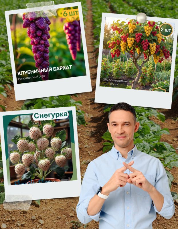 ��� ������������ ���������� �������� � ������� ����������