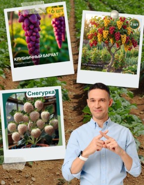 ��� ������������ ���������� �������� � ������� ����������