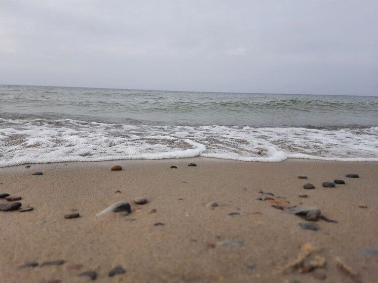 �� ������� ������ ���������� �����