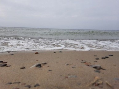 �� ������� ������ ���������� �����