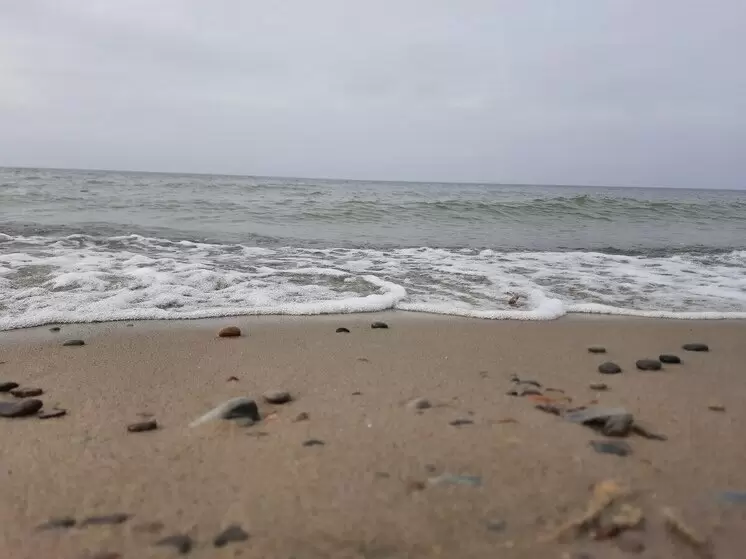 На Курилах пойман гигантский тунец