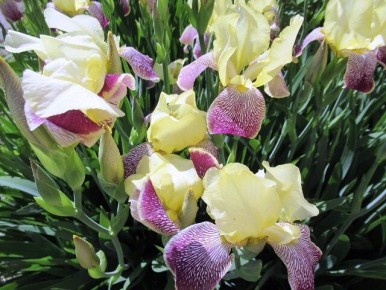 ����� ���������: ��� ��������� ��������� ������ ��� ������������� ��������