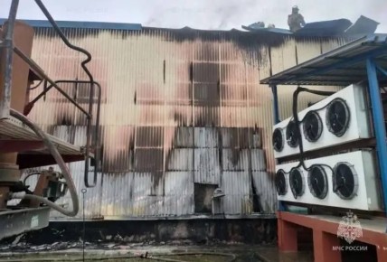 � ������ 22 �������� ������ �����