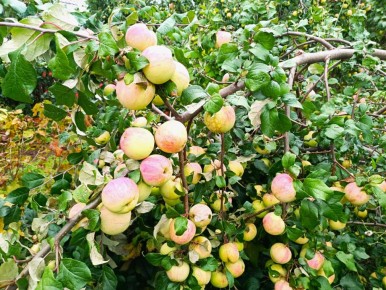 ��� ��������� ������ ����������� ��������: ������� ������ ��� ���������