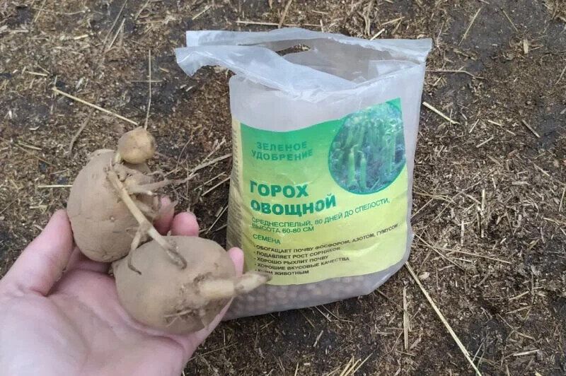 ��������� ������ ���������� ������ ���������: ����� � ����� ��������� �����?