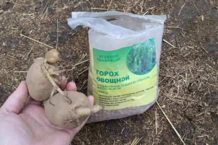 ��������� ������ ���������� ������ ���������: ����� � ����� ��������� �����?